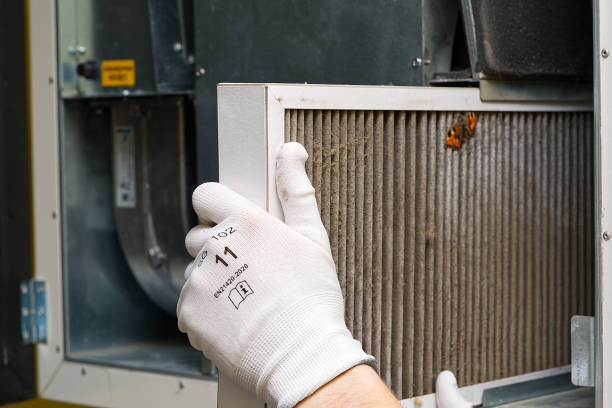 Best HVAC Duct Inspection Services  in Fayette, LA